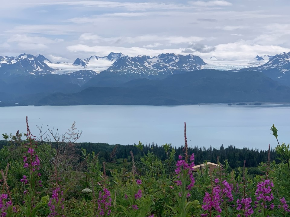 Family Fishing with Volatility