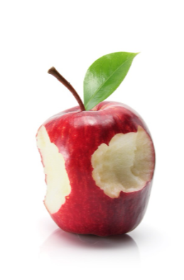 The Second Bite of the Apple: Maximizing Your Earnings After Selling Your Business | Business Corner