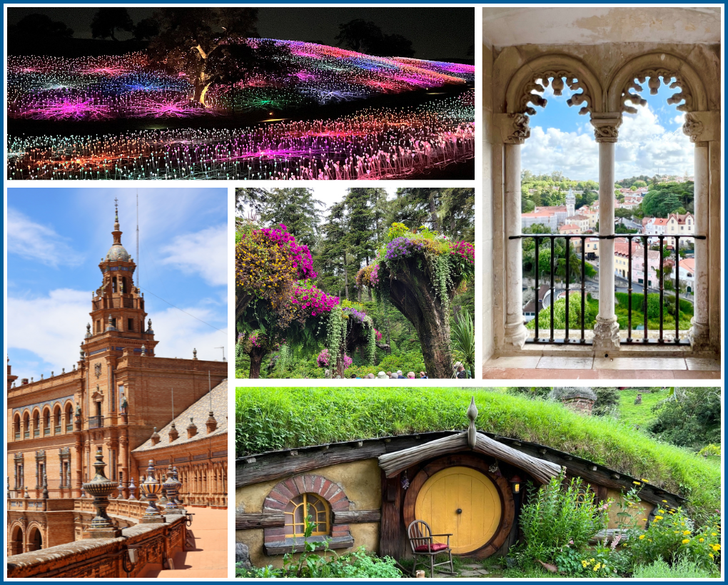 2023 FJP Photo Contest Finalists - Other Category