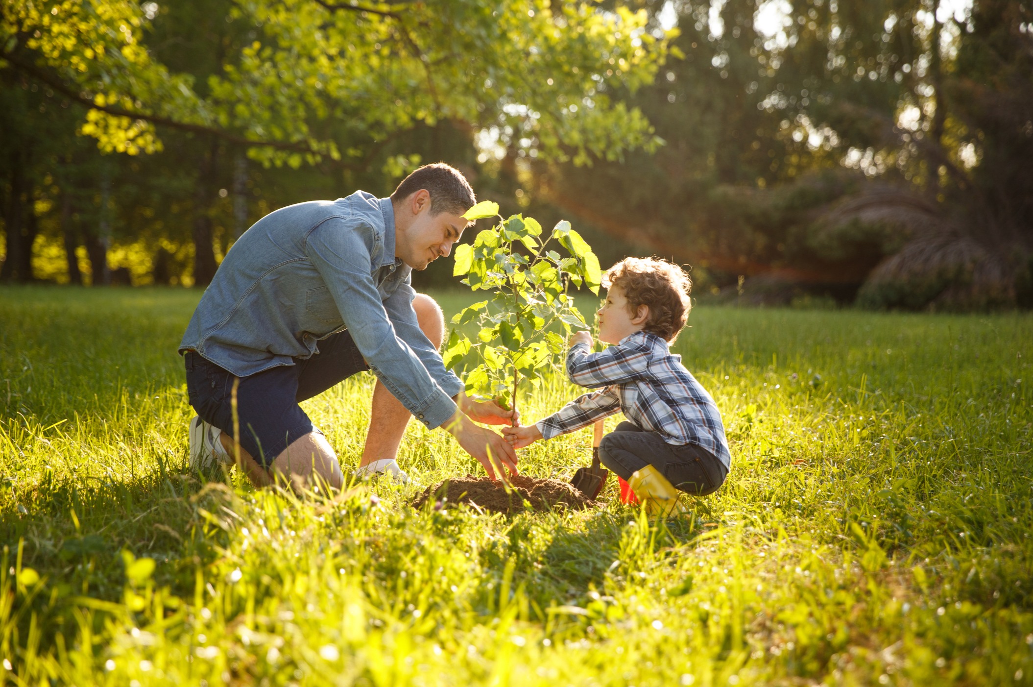 Investment Planning