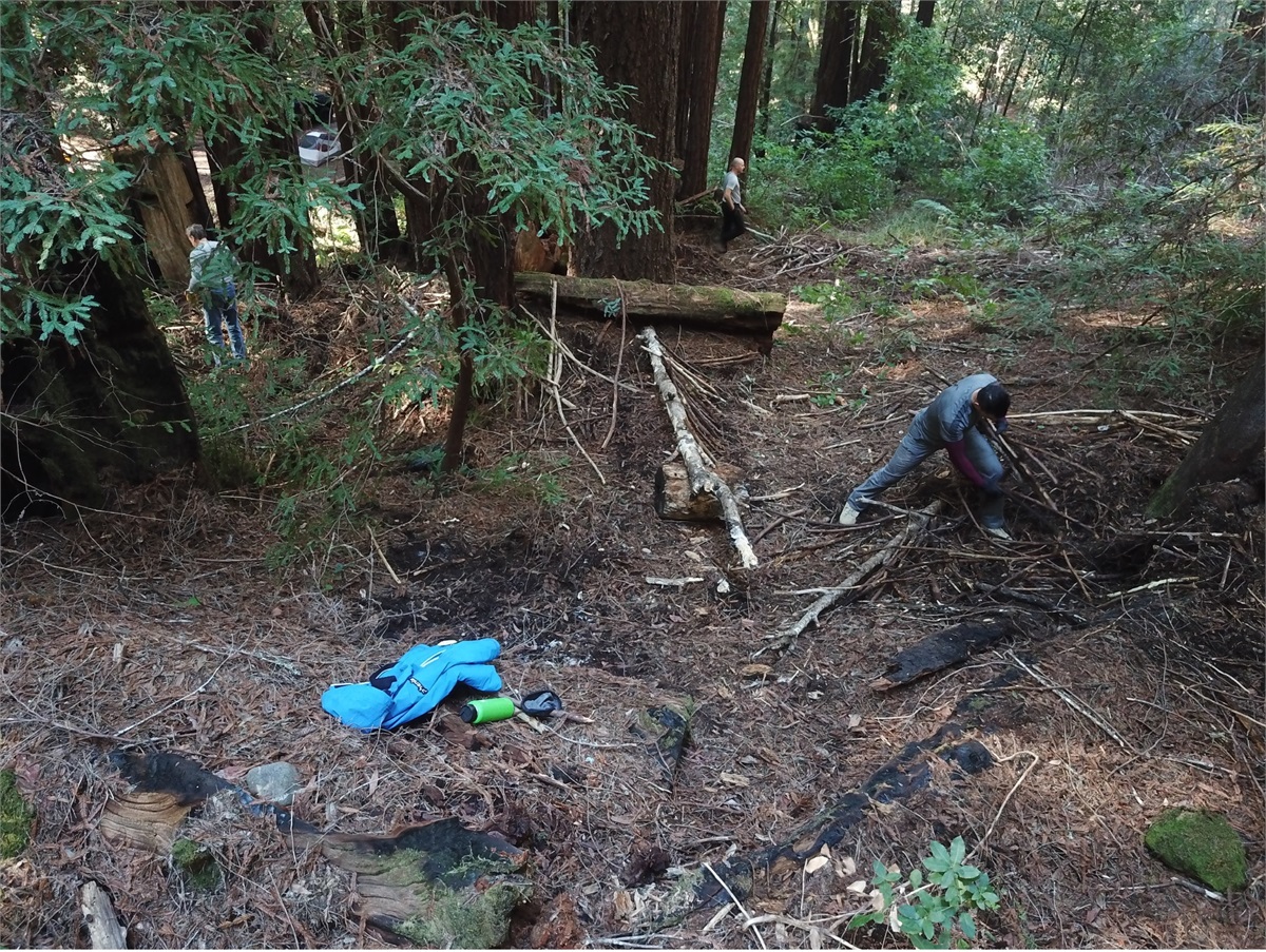 A Series of Small, Compounding, Bad Decisions