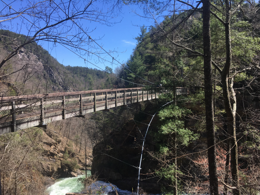 Crossing the Financial Bridge