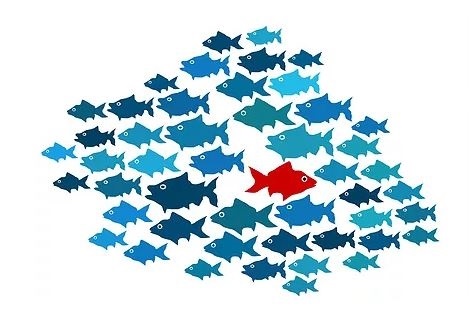 Why Doesn't Everyone Do This?