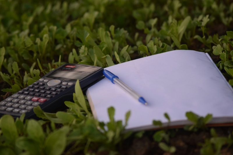 Understanding Your Financial Statements: The Key to Empowered Decision-Making | The Business Corner