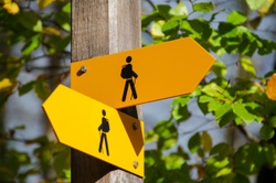 How Do You Plan for a Future You Can't Accurately Predict?