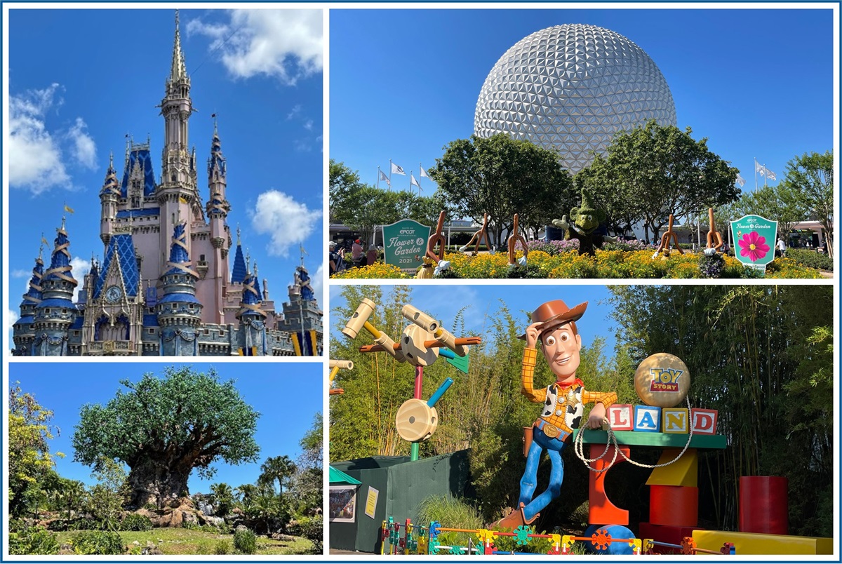Walt Disney World Resort Adventure