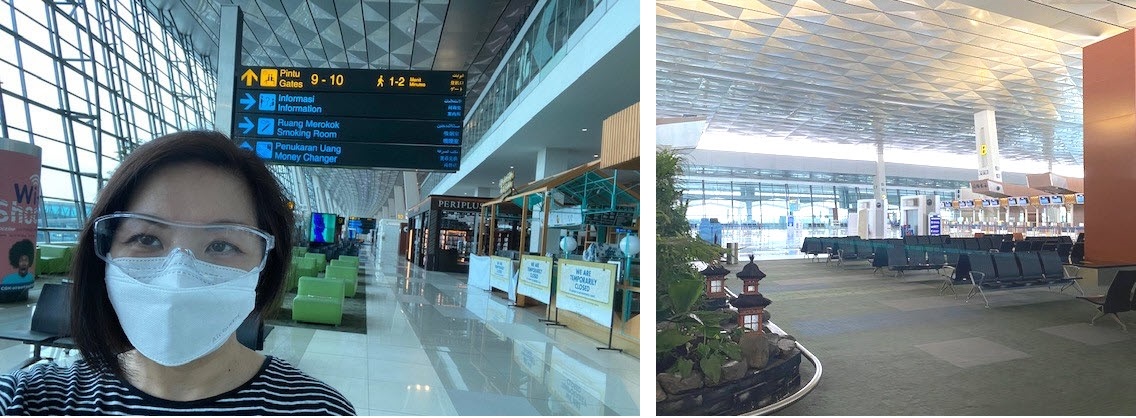 A Story of COVID-19 International Travel