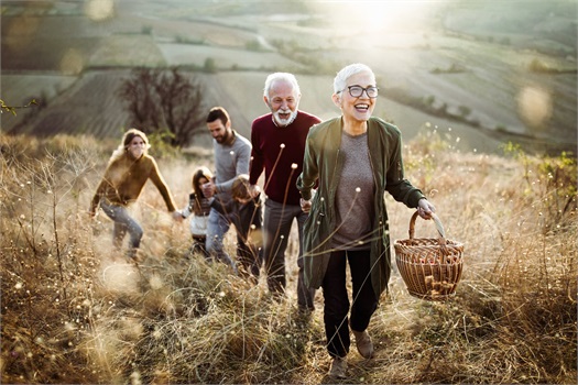 Estate Planning Resources