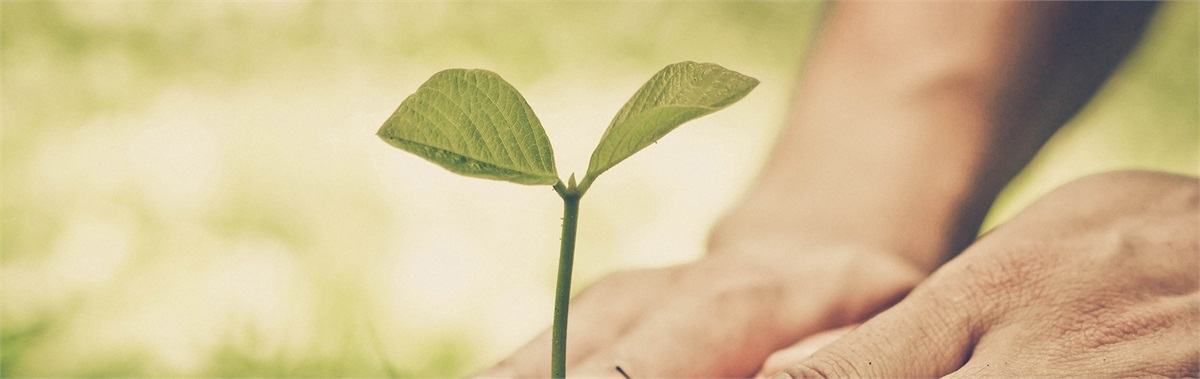 The 12 Steps to Living Confidently: How to Retire With Confidence