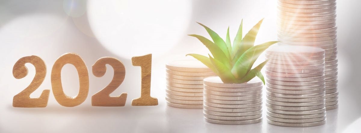 6 Investment Themes for 2021