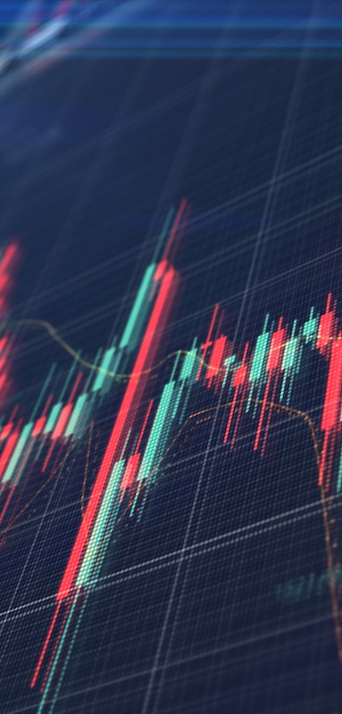 Investment Management