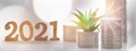 6 Investment Themes for 2021