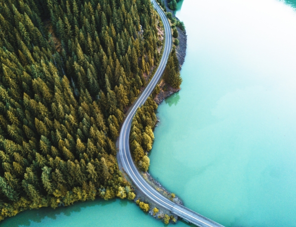 Image for Ten Common Estate Settlement Mistakes