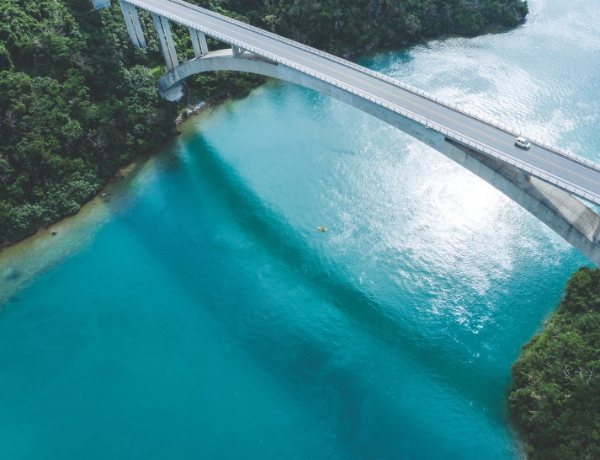 Image for Staying Out of Probate