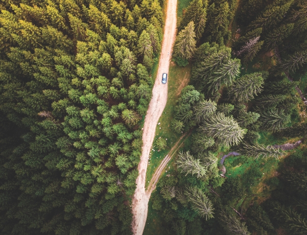 Image for Address Potential Incapacity with Estate Planning