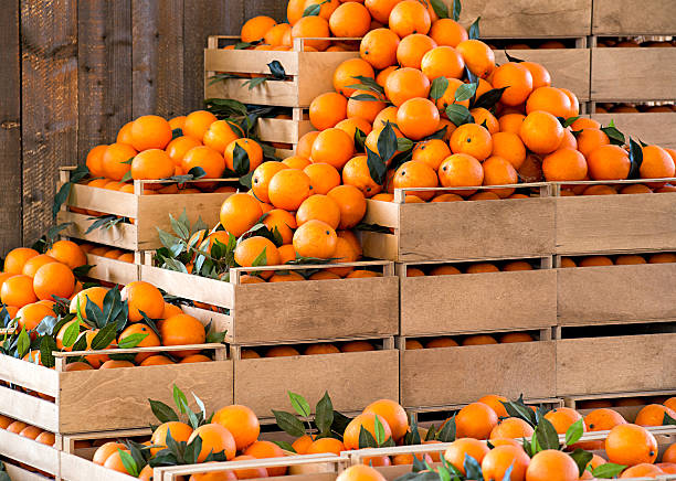 Oranges 1 no compliance