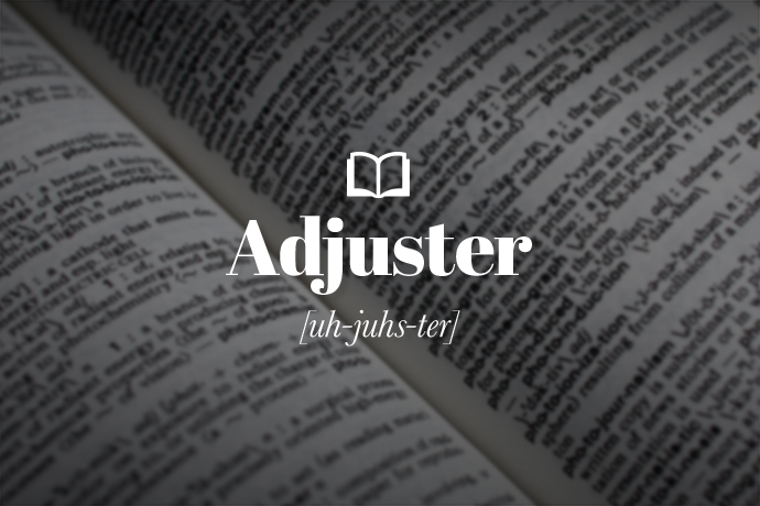 What is an Adjuster?