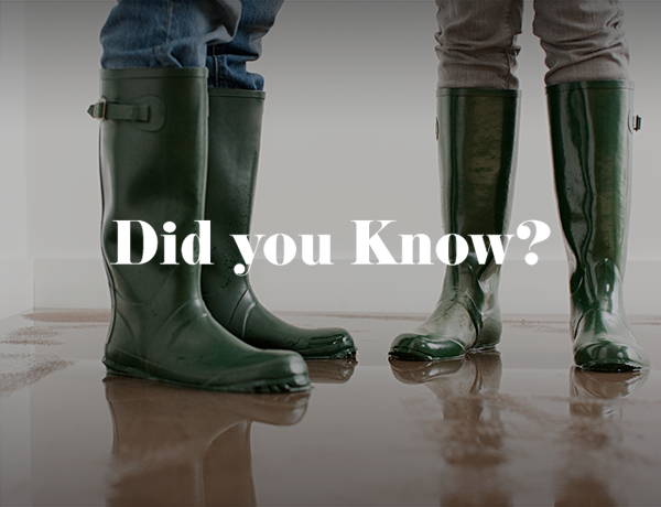 Did You Know This Fact About Flood Damage?